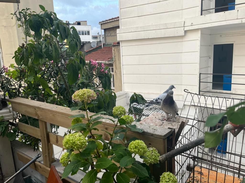 Central Apartment Kadikoy Terrace Bbq Close 2 Block Ferry Bull Metro Nighlife Истанбул Екстериор снимка