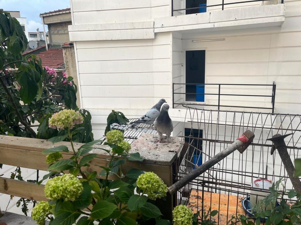 Central Apartment Kadikoy Terrace Bbq Close 2 Block Ferry Bull Metro Nighlife Истанбул Екстериор снимка